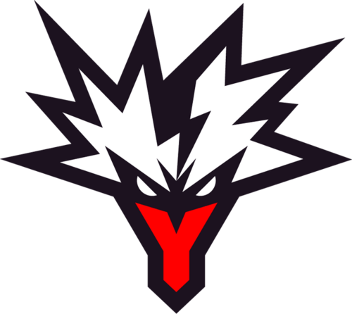 icon for Team Yandex vs Team Spirit