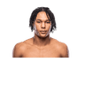 Damazion Vanhouter