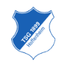 tsg icon