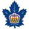 tor icon