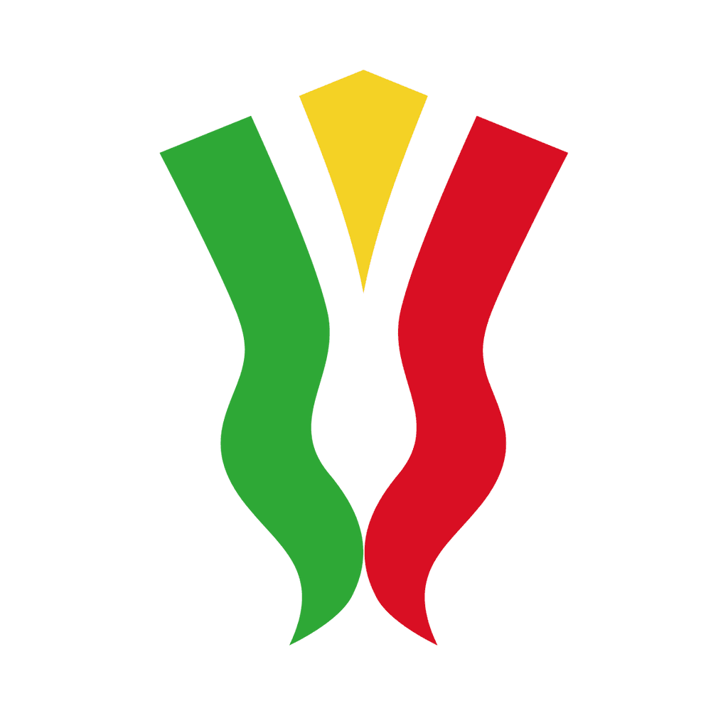 SS Arezzo vs. Union Brescia