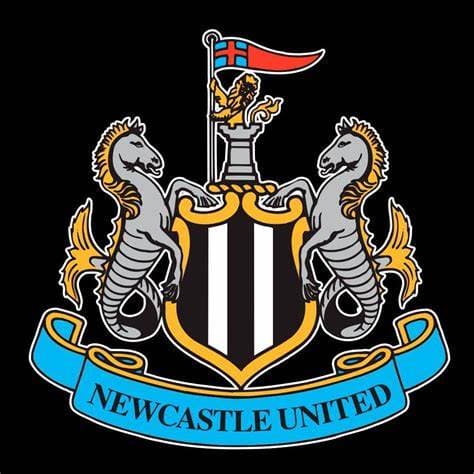 icon for Will Newcastle beat Wolves?