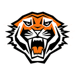 wst icon