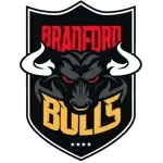 Bradford Bulls