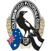 icon for Collingwood Magpies vs. Brisbane Lions