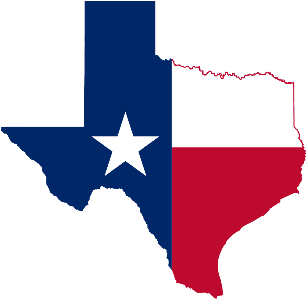 TX-15 House Election Winner