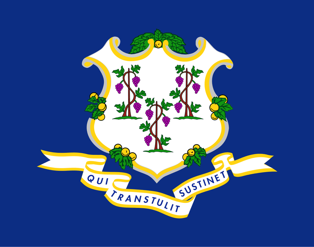 Connecticut Governor Republican Primary Winner