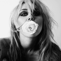 icon for Miley Cyrus 'Bass Persuades' पहले हफ़्ते की एल्बम सेल्स?
