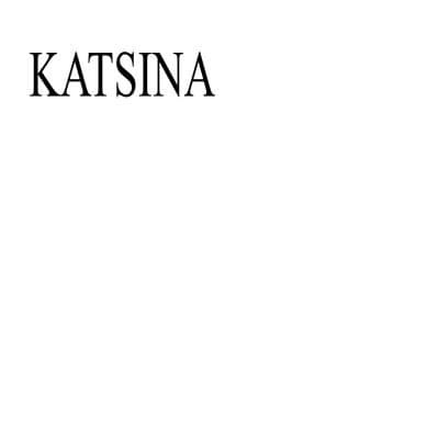 icon for Katsina, Nigeria Governor Election Winner