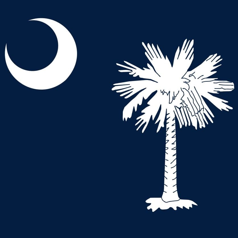 icon for Will Darline Graham Nordone be the new republican nominee for Senate in South Carolina?