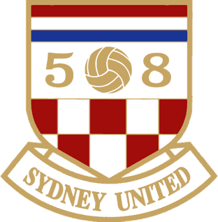 sut icon