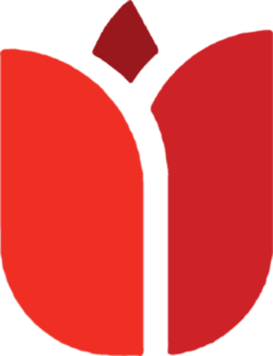 rose icon