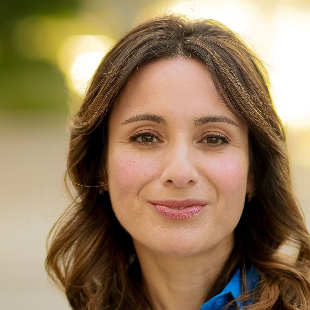 icon for Demokrat