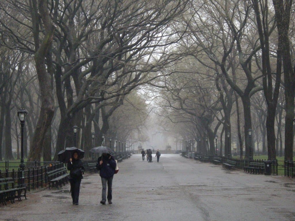 Will it rain in Central park on Friday May 29th 2026?
