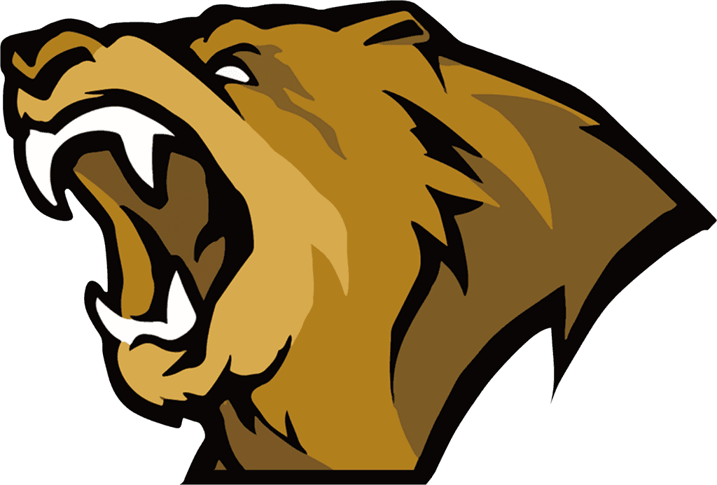 icon for Lynn Vision