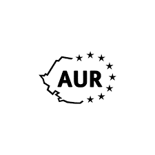 icon for AUR