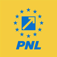 icon for PNL
